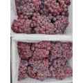 China Yunnan Red globe grape for export Philippines import red grape